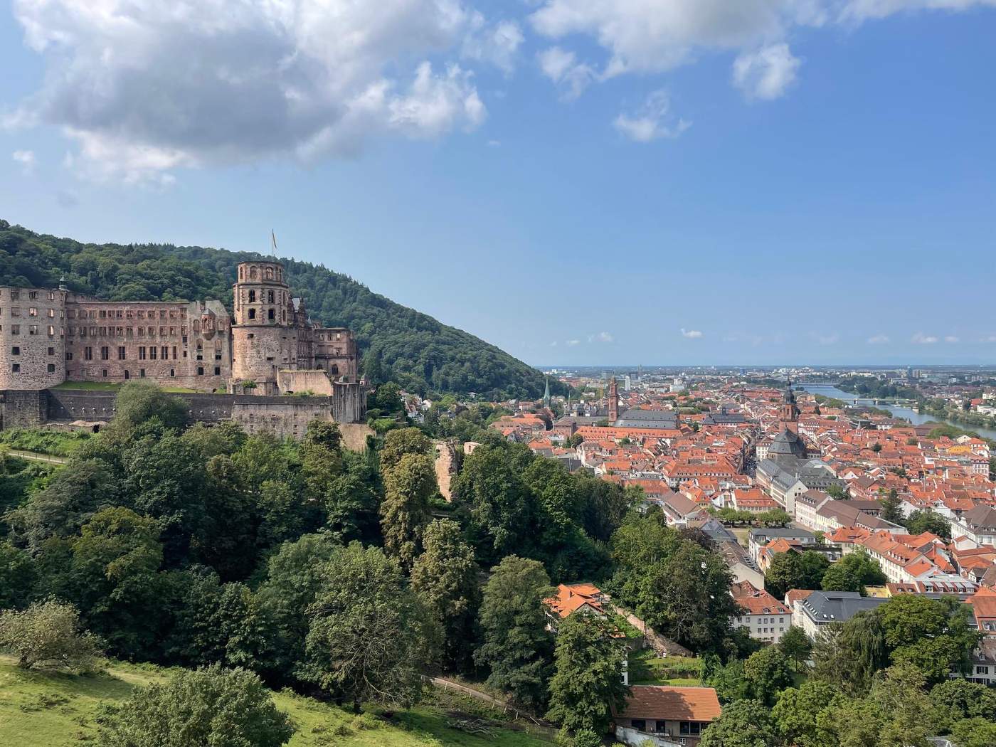 Blick über Heidelberg mit Schloss und Altstadt